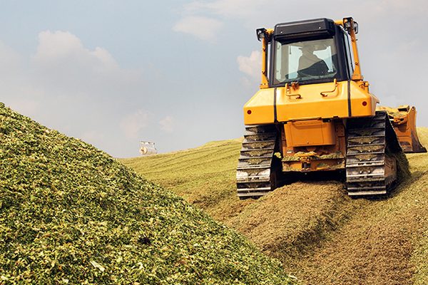 Aufbereitung von Maissilage für eine Biogasanlage