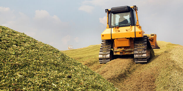 Aufbereitung von Maissilage für eine Biogasanlage